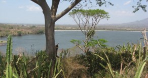 Ometepe Spectacular Lake Frontage and Volcano View Development Parcel