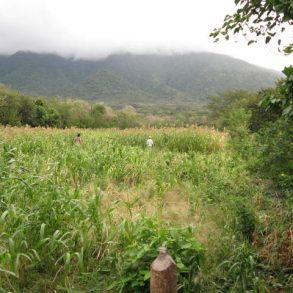 Ometepe Large Mountainside Parcel