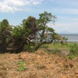 Ometepe Lake Front Close to the Port Building Lot