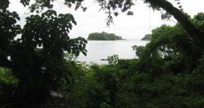 Ometepe Treed Lake and Road Frontage lot