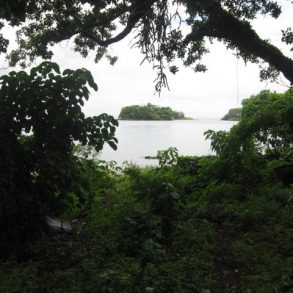 View out to Monkey Island