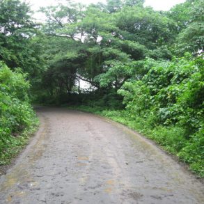 Roadway to San Ramon