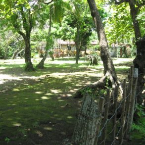 Side yard with main house in background