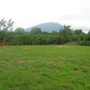 The yard with the volcano in the background