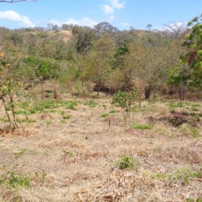 Rivas Building lot in Veracruz with privacy and a river next to it