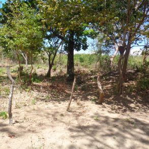 Rivas Building lot in Veracruz with privacy and a river next to it