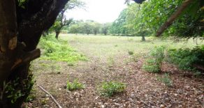 Ometepe Road Frontage Land Close to the Port and the Airport