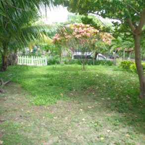 Ometepe house in town with large lot