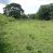 Ometepe Roadside Agricultural Land with Suitable Home Site and Volcano View