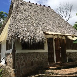 OMETEPE SUCCESFULL ECO HOSTEL and ORGANIC PERMACULTURE FARM