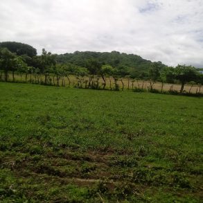 Ometepe Zip Line Hill