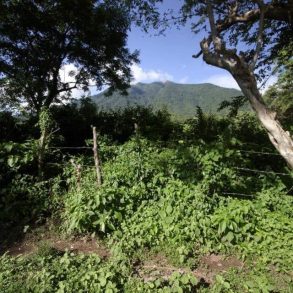 Ometepe Large Land Parcel on Maderas Volcano
