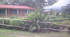 Ometepe Tourist Zone Hotel With Gardens and Volcano Views
