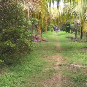Ometepe Tourist Zone Beach front lot with fixer upper home