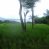 Ometepe mountain side land