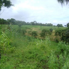Ometepe mountain side land