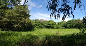 Ometepe Port Town Treed Acreage