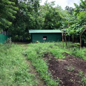 Ometepe Mountain View Building Lot