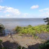 Ometepe Lake Front and cultivated large lot