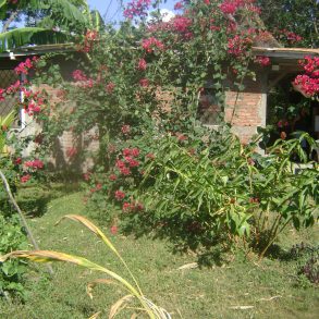 OMETEPE Small well built cottage with swimming pool