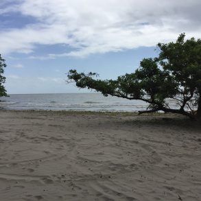 Ometepe Lake front building lot down by the port