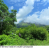 Ometepe Mountain Side View Land