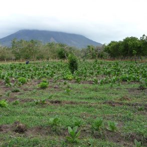 OMETEPE SECLUDED LAKEFRONT LAND