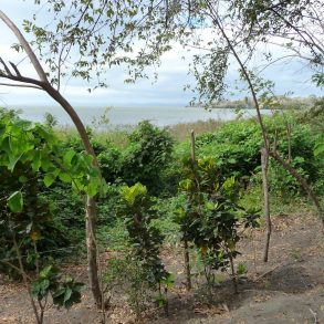 OMETEPE SECLUDED LAKEFRONT LAND