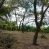 OMETEPE SECLUDED LAKEFRONT LAND