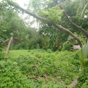 OMETEPE Port town lake access building lots