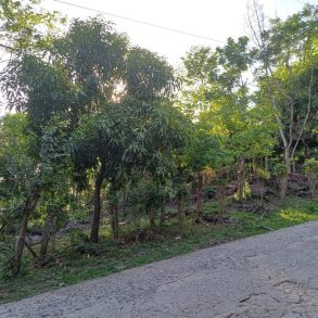 OMETEPE Close to the lake building lot