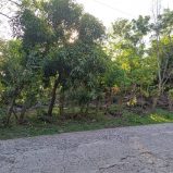 OMETEPE Close to the lake building lot