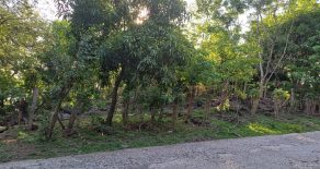 OMETEPE Close to the lake building lot