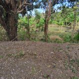 TOURIST ZONE BUILDING LOT IN MERIDA